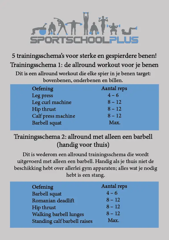 stout Caius herhaling 5 trainingsschema's voor sterke benen (mannen) | SportschoolPlus