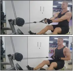 seated cable row