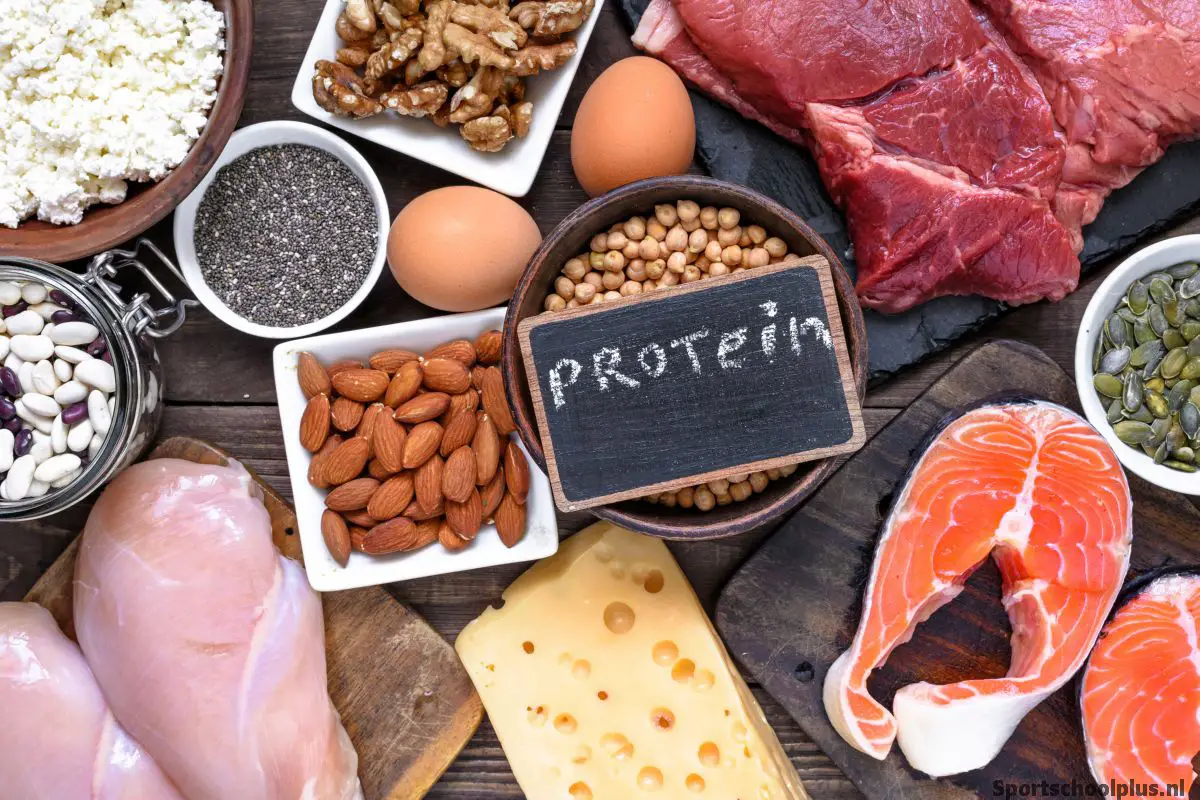 Proteïne voeding